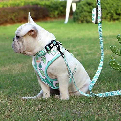 CXDTBH Print ogrlica za pse zagrljaj povodac poop torba Podesivi kućni ljubimci Prsluci za male srednje pse Kućni ljubimci za pjevanje
