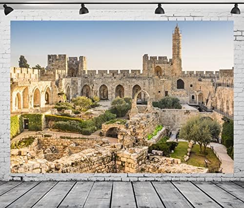 BELECO 7x5ft tkanina Stari Grad Jerusalem pozadina Izrael Kula Davida pozadina David toranj drevne ruševine Istorijska mesta Pozadina