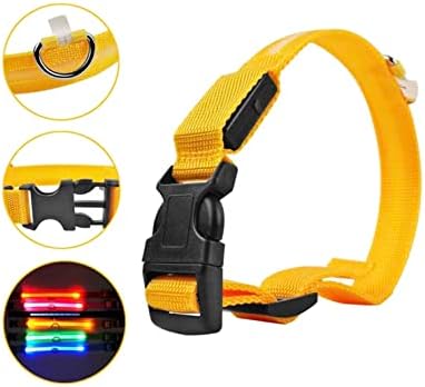 LumiPaws LED svjetlo za pse ovratnik-Noćna sigurnost-USB Punjivo - vodootporan sjajni ovratnik za pse